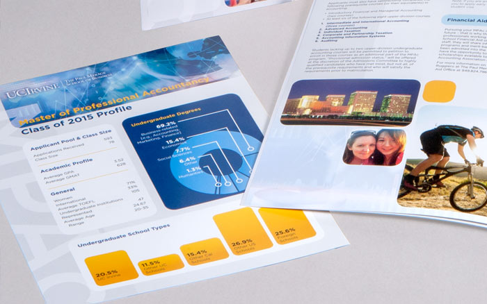 Master of Professional Accountancy